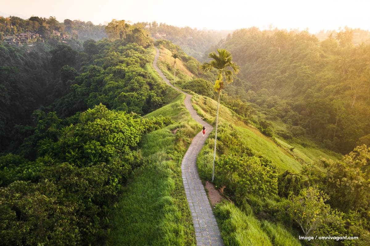 Hiking in Bali: Scenic Trails and Natural Treasures