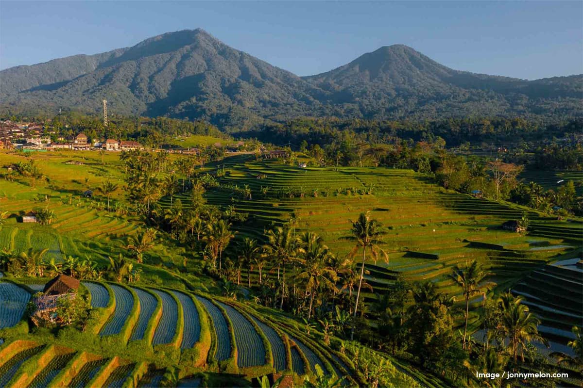 Ancient Origins: The Rice Terrace of Bali